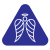 cropped-Insignia.png